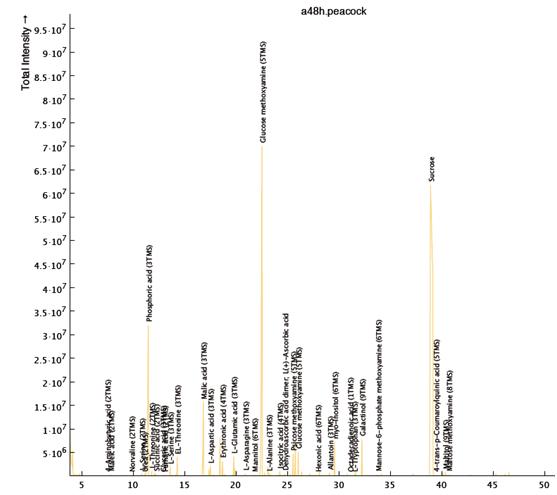 GC-MS chromatogram