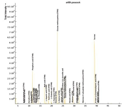 GC-MS chromatogram