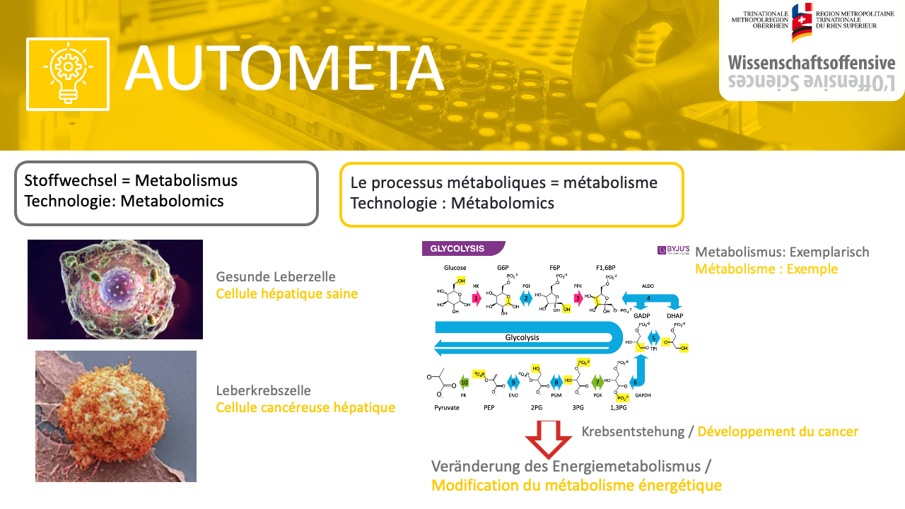 Autometa2